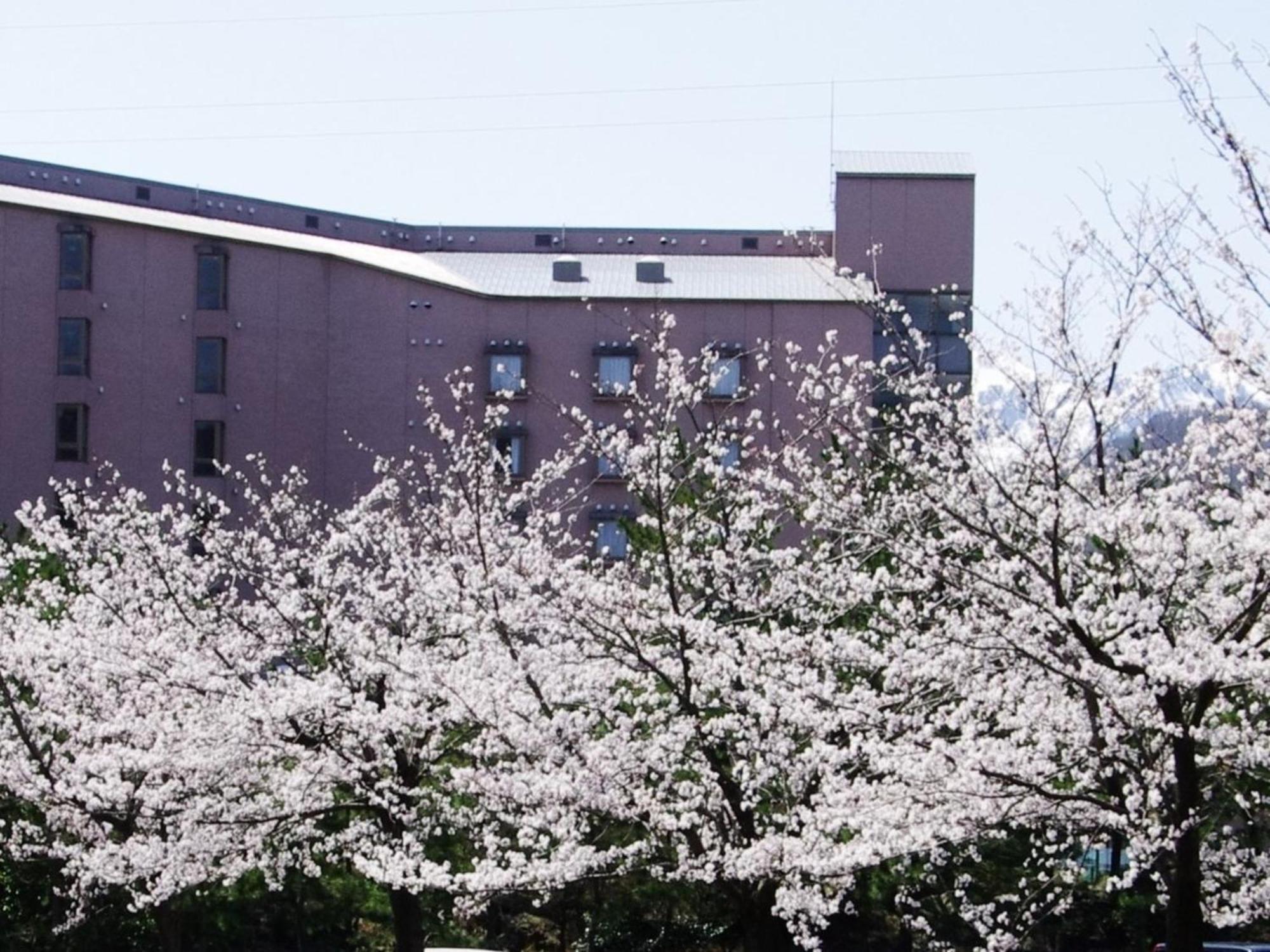 Hotel Kunitomi Annex - Vacation Stay 12072V Itoigawa Экстерьер фото